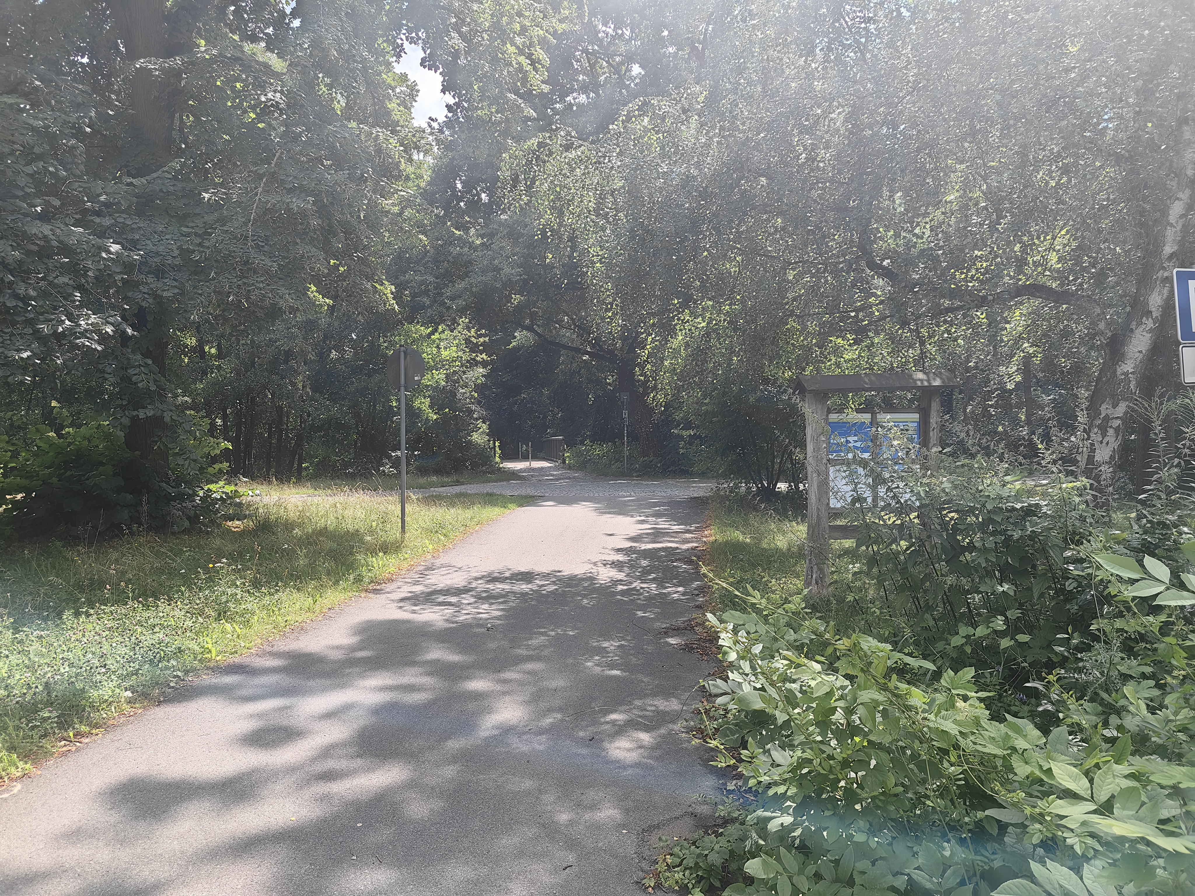 Foto aus dem Vereinsleben