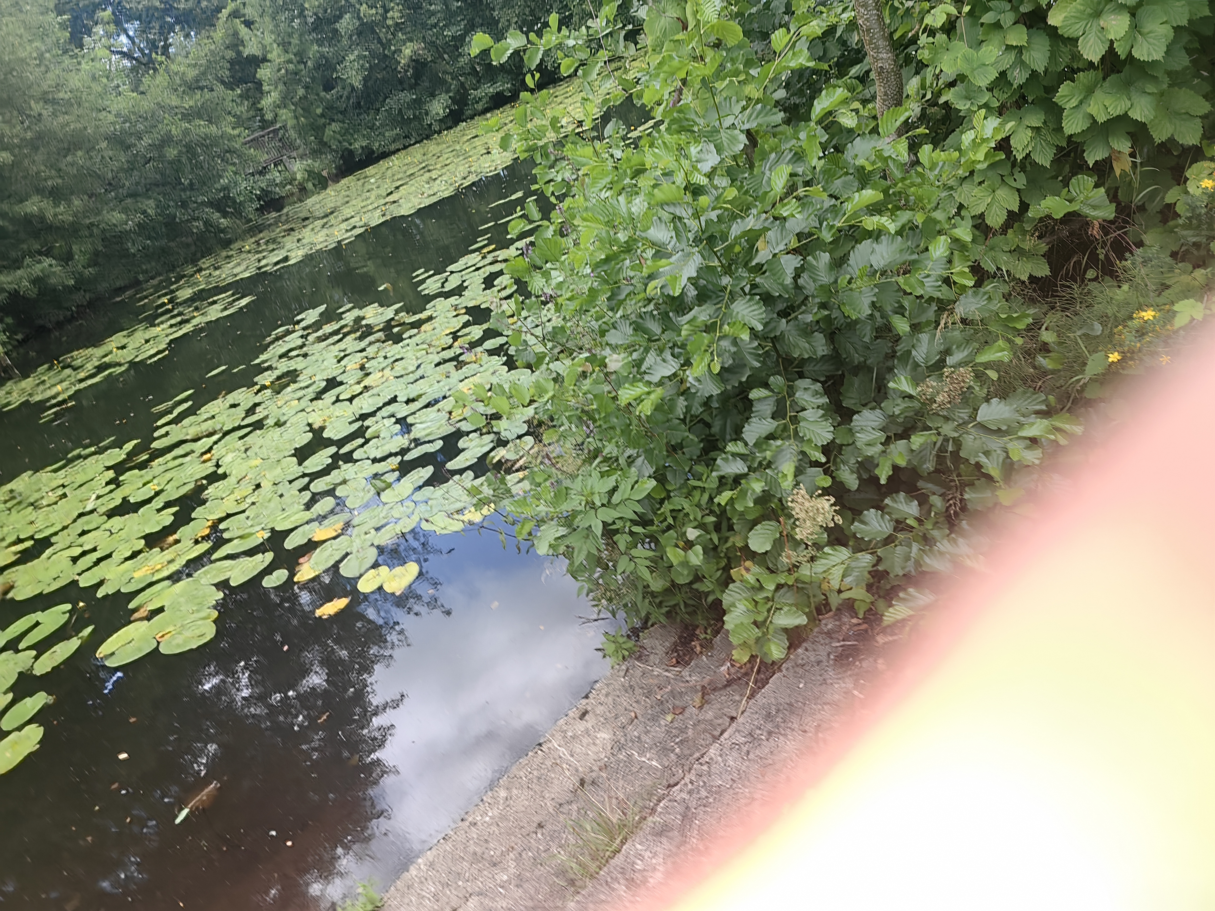 Foto aus dem Vereinsleben