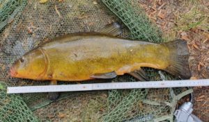 20200501_123840-scaled-e1702975294110